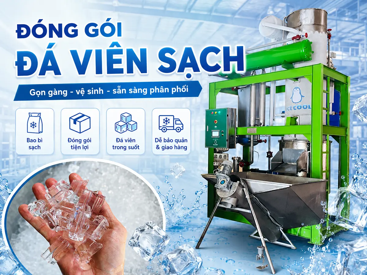 Đóng gói đá viên sạch giúp bảo vệ thành phẩm khỏi bụi bẩn và nguy cơ tái nhiễm sau quá trình sản xuất.