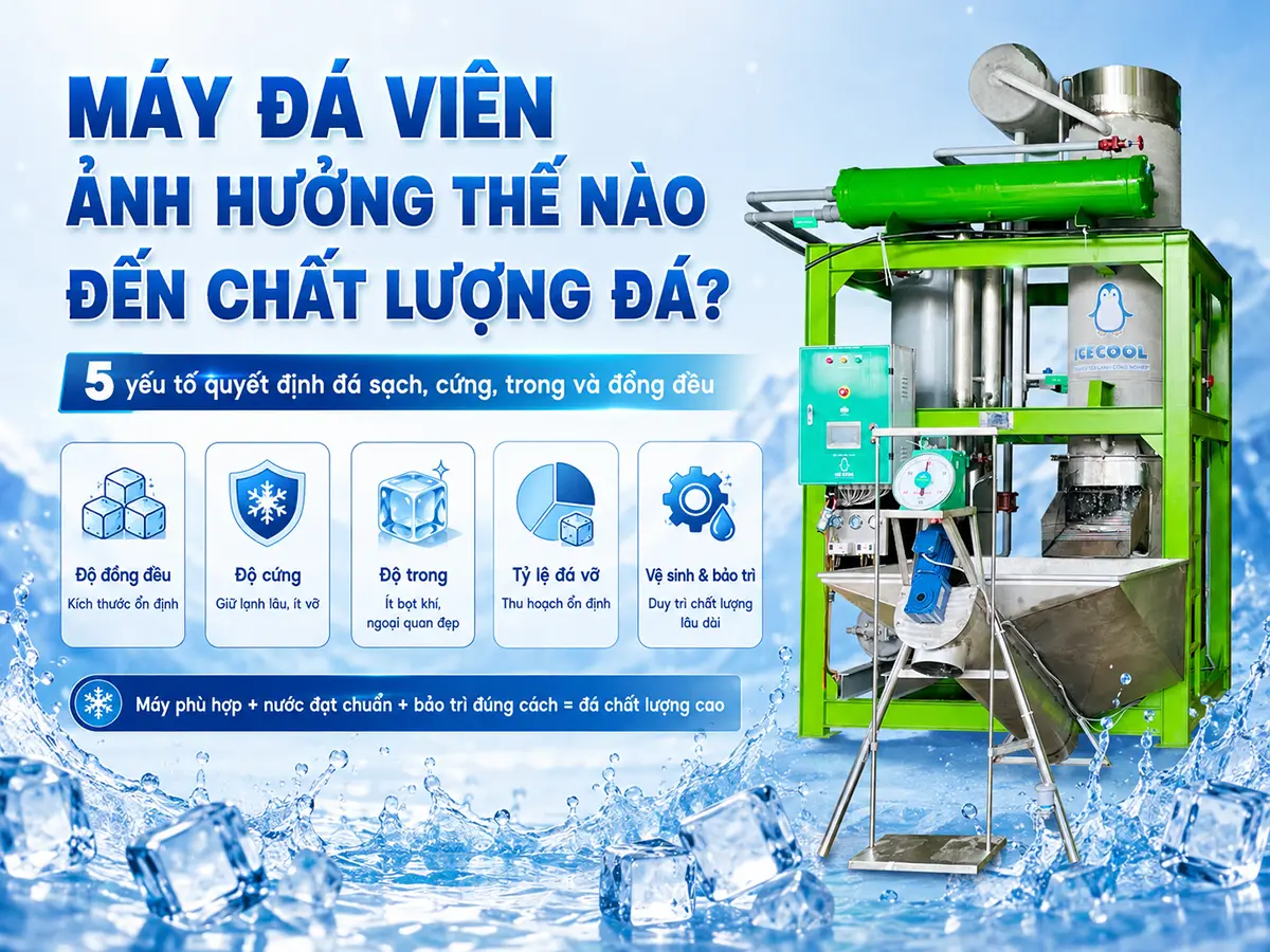 Máy đá viên ảnh hưởng thế nào đến chất lượng đá phụ thuộc vào hệ thống lạnh, bộ phận tạo đá và khả năng vận hành ổn định.