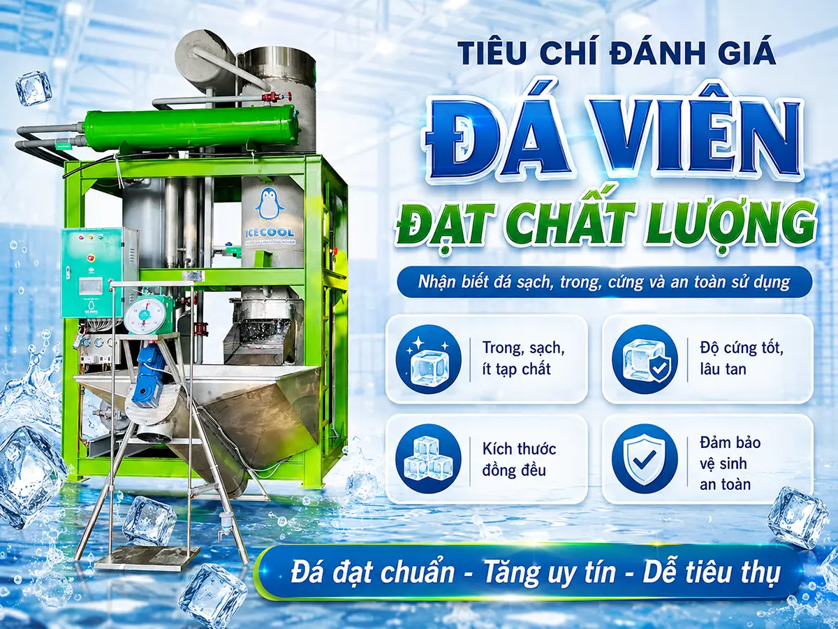 Tiêu chí đánh giá đá viên đạt chất lượng tập trung vào độ cứng, kích thước, hình dạng và vệ sinh.